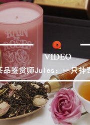 QualityVideo|一只神奇的鼻子