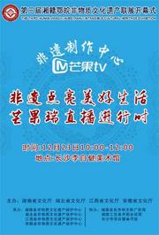 第三届湘赣鄂皖非物质文化遗产联展开幕式