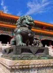 为何故宫竟然一棵树都没有？知道原因后，真佩服古人