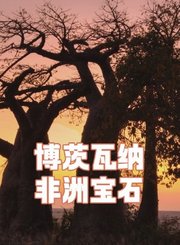 博茨瓦纳，非洲宝石