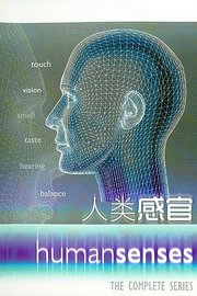 人类感官