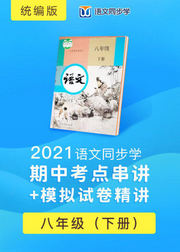 2021语文同步学统编版八年级下册期中考点