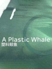 塑料鲸鱼