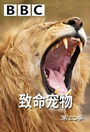 致命宠物第2季