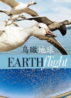 鸟瞰地球
