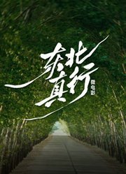 东北真行微电影