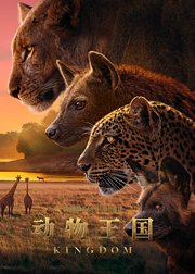 动物王国[普通话版]