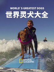 世界灵犬大全