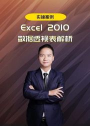 excel2010数据透视表视频教程