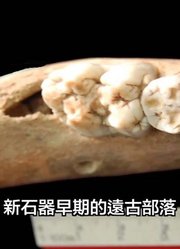 河南出土9000年前骨头，一雌一雄，专家：中国再次改写了世界