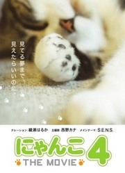 猫咪物语第4季