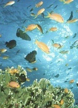 深海探奇