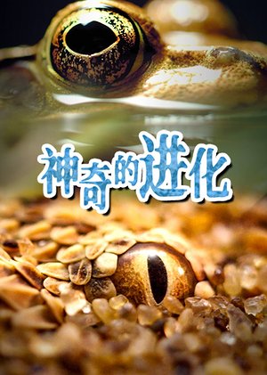 神奇的进化
