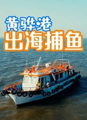 河北沧州黄骅港包船出海捕鱼