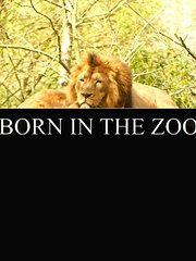 在动物园出生