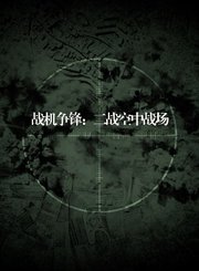 战机争锋：二战空中战场