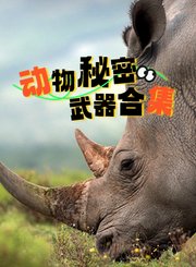动物秘密武器合集