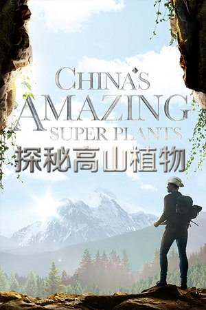 探秘高山植物