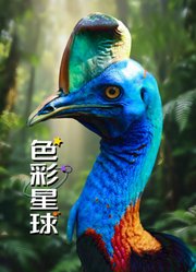 色彩星球配音版