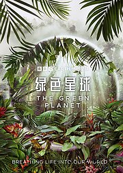 绿色星球