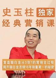 《史玉柱独家经典营销课：直击营销本质》