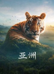 亚洲-原声版
