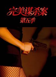 完美谋杀案第5季