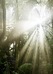 经典神作开拓视野的宝藏纪录片