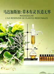 马达加斯加：草木有灵，医道无界