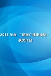 2015年度“湖南广播电视奖”获奖作品
