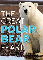 北极熊的盛宴
