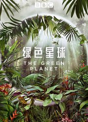 绿色星球中文版