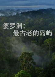 婆罗洲：最古老的岛屿