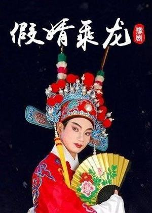 豫剧《假婿乘龙》