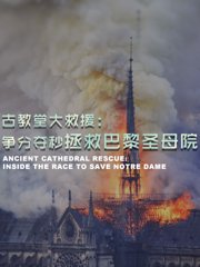 古教堂大救援：争分夺秒拯救巴黎圣母院
