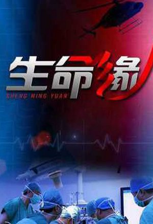 生命缘第2季