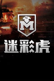 迷彩虎
