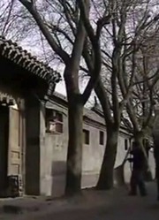 溥仪想学习做一名普通人，跑到大街去扫地，没想到被人认出是皇帝