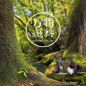 万物滋养纪录