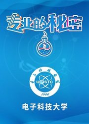 2021专业的秘密：电子科技大学