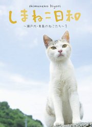 俺是猫欢迎来俺家玩