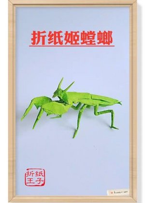 折纸姬螳螂视频教程