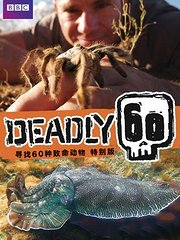 60种致命动物第3季SP