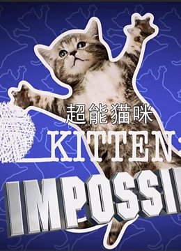超能猫咪