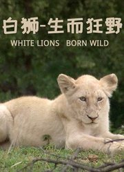 白狮—生而狂野