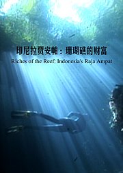 印尼拉贾安帕：珊瑚礁的财富
