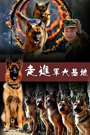 走进军犬基地