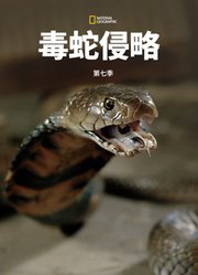 毒蛇侵略第7季中配版