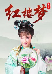 黄梅戏《红楼梦》何云版