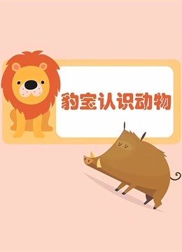 豹宝认识动物